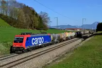 Der zweite Kreideschlammzug des Tages wurde von der SBB Cargo 482 041 befördert. Fahrtziel war Plattling. Aufgenommen wurde der Ganzzug bei Straß am 30. März 2014.