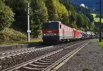 1144 003-1 und 1116 102-5 durchfahren mit einem Güterzug die Haltestelle Oberfalkenstein.
Aufgenommen am 18.9.2016.