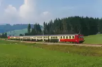 SOB: Pendelzug der SOB noch mit Re 4/4 II und dem BDt 5048 20-35 198-7 zwischen Rotenthurm und Biberbrugg im Sommer 1991. Besondere Beachtung gilt auch dem von der SBB übernommenen Erstklasswagen.
Foto: Walter Ruetsch  