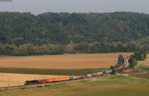 182 569-4 mit einem Containerzug bei Kirchheim 12.9.16