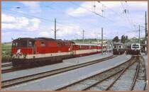 Neusiedl am See im Juli 1998. 2143 068-1 mit einem Zug aus Wagen der �BB und R�EE/GySEV vermutlich nach Eisenstadt-Sopron, in der Mitte der Triebwagen nach Pamhagen 5146-01 R�EE/GySEV und rechts der 6020 009-4 als S60 nach Wien S�dbahnhof.
