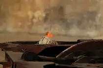 Wenn der Stahl brennt .. 
13.10.2016