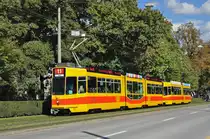 Be 4/8 245 zusammen mit dem Be 4/6 217, auf der Linie 11, fahren zur Haltestelle am Bahnhof SBB. Die Aufnahme stammt vom 03.10.2016.