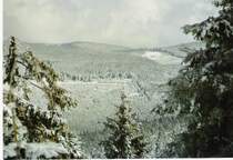 Vom Wurmberg aus, kann man dr�ben am Eckerloch den Brockenzug Richtung Schierke rollen sehen.
4.4.2007