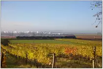 Hier ist die 310.23 mit ihrem Sonderzug noch unter Fahrdraht auf der Strecke zwischen Absdorf-Hippersdorf und Krems unterwegs. Entstanden ist die Aufnahme bei Wagram am Wagram. (28.10.2016)