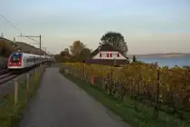 SBB: HERBSTLICHE STIMMUNG
auf der Jurasüdfuss Linie
bei Ligerz vom 3. November 2016 (Personenverkehr).
Foto: Walter Ruetsch 