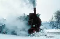  HELENE  Jagsthausen 06.01.81