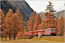 Herbst im Engadin am Eingang zum Val Bever Richtung Spinas. RE1137 mit Ge 4/4 III 6462  Breil/Brigels . (02.11.2016)