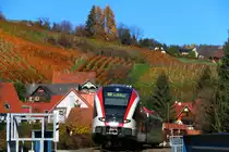 Nachschuss auf den gen Graz fahrenden GTW bei Deutschlandsberg an diesem wunderbaren Herbsttag . 9.11.2016