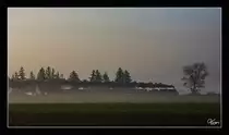 Im Morgennebel dampft 310.23, mit dem SDZ 17264 von Wien Heiligenstadt nach Krems an der Donau. Version II
Wagram am Wagram 28.10.2016