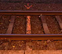 Im Bahnhof Rommerskirchen konnte ich auf Gleis 3 die Schrift Stopfrichtung erkennen. 

Rommerskirchen 18.11.2016