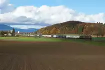 BLS: Die Re 4/4 174 + Re 4/4 185 wurden mit ihrem Güterzug am 19. November 2016 anlässlich einer kurzen Aufhellung bei Bettenhausen verewigt.
Foto: Walter Ruetsch