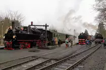 Ein in mehrerer Hinsicht absolut einzigartiges Zugtreffen im Bahnhof Drei Annen Hohne, aufgenommen am 06.02.2016 im Rahmen einer Sonderzugveranstaltung der IG HSB, aber leider.....!
Was ist aber hier nun so einzigartig?
1.) Bei allen drei Zügen handelt es sich um Sonderzüge, welche für die IG HSB im Einsatz sind.
2.) Jede Lok für sich ist etwas Besonderes: 99 5901 (Bj. 1897 bei Fa. Jung in Jungenthal/Sieg) ist eine der ältesten betriebsfähigen Loks der HSB und kommt nur noch vor Sonderzügen zum Einsatz, 99 222 (Bj. 1931 bei Berliner Maschinenbau AG ehem. Schwartzkopff) ist das einzige erhaltene Exemplar der Baureihe und diente nach Kriegsende als Vorbild für die in Babelsberg gebaute Neubaureihe 99 72, sie ist somit die  Mutter  der Neubauloks und 99 6001 (Bj. 1939 bei Krupp in Essen) blieb aufgrund der Kriegsgeschehnisse ein absolutes Einzelstück und ist mit einer zulässigen Höchstgeschwindigkeit von 50 km/h die schnellste Lok der HSB.
3.) Alle Loks stehen, Rauchkammer voraus, in die gleiche Richtung!
Die zu sehende Szene dürfte es vorher so wohl noch nie gegeben haben! Leider schien vielen Passagieren die Einmaligkeit dieses absoluten Highlights nicht bewußt zu sein, denn, anstatt sich zu uns in die Fotografenlinie zu stellen und dieses Top-Ereignis festzuhalten, rannten alle nur hektisch um die Loks herum, ließen sich leider auch auf eindringliche Zurufe unsererseits nicht davon abbringen. Vielleicht hätte man vor dem Einlaufen in Drei Annen Hohne die Fahrgäste über die Bordsprechanlage des Zuges explizit auf dieses Ereignis hinweisen sollen, was leider unterblieb. Auch war die Zeit im Bahnhof nur knapp bemessen, da er wieder für den Planverkehr geräumt werden mußte. Es hieß also nur vom linken in den rechten Zug umsteigen und dann ging es auch schon weiter.
Da es sich hier aber um einen wirklich einmaligen Moment handelt, habe ich mich entschieden, das Bild dennoch zu veröffentlichen und bitte das  Personengewimmel  zu entschuldigen! ;-) 
