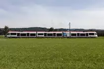 SBB, RABe 520, Eschenbach, 520 005-5, 03.09.2016 Hochdorf/Schweiz 



