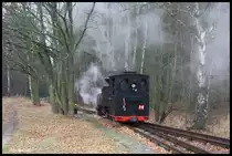 993312 war am 9.12.2016 Zuglok eines von mir organisierten Sonderzuges für die IPA Kreis Steinfurt. Das Programm mit dem Zug sah zwei Fahrten vor. Die erste Fahrt ging über die Strecke Richtung Bad Muskau. An diesem Tag musste in Krauschwitz Baierweiche umgesetzt und zurück gefahren werden, da das restliche Streckenstück Richtung Bad Muskau wegen Bauarbeiten nicht befahrbar war. Das Foto zeigt 993312 beim Umsetzen in Krauschwitz. Die Lok setzt hier gerade an den Zug zurück, um danach in Richtung Weißwasser abfahren zu können.
