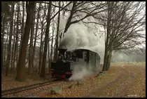 993312 war am 9.12.2016 Zuglok eines von mir organisierten Sonderzuges für die IPA Kreis Steinfurt. Das Programm mit dem Zug sah zwei Fahrten vor. Die erste Fahrt ging über die Strecke Richtung Bad Muskau. An diesem Tag musste in Krauschwitz Baierweiche umgesetzt und zurück gefahren werden, da das restliche Streckenstück Richtung Bad Muskau wegen Bauarbeiten nicht befahrbar war. Das Foto zeigt 993312 nach der Abfahrt in Krauschwitz Baierweiche zurück nach Weißwasser.