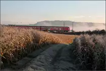 Ein kalter, nebeliger Morgen im Remstal -

Ein Regionalexpress mit Karlsruher Steuerwagen an der Front auf dem Weg in Richtung Aalen bei Weinstadt-Endersbach. Neu gezeigt, etwas größer.

22.10.2010 (M) 

Frühere Kommentare:

Stefan Wohlfahrt 22.10.2010 15:47
Die feuchte Kälte des Morges kommt gut rüber!
Gruss Stefan

Gisela, Matthias und Jonas Frey 23.10.2010 11:09
Danke, Stefan! 

Bei dieser kalten Morgenstimmung hat mich nichts im Haus gehalten und da reicht auch schon ein einfacher Karlsruher Steuerwagen um diese Stimmung mit Zug fest zu halten.

Wobei mir selbst das andere Bild mit der S-Bahn besser gefällt.

lg Matthias


Klaus Bach 23.10.2010 11:43
Mir gefällt dieses Bild wegen der Sonne, die den Reif so richtig zum Leuchten bringt. Auch habe ich eine Schwäche für die Karlsruher Steuerwagen.

Dieter Schumacher 23.10.2010 18:39
Hallo Matthias,
Schöner Kontrast zwischen  warmen  Sonnenlicht und Rauhreif mit dem aufsteigenden Nebel im Hintergrund.
Gruss.
Dieter