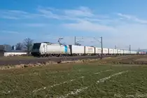 185 716 am 14.02.2015 bei Gunzenhausen-Laubenzedel.