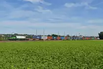 Containerzug 61451 ist am 27.08.2015 mit der 193 225 bespannt gewesen und
ist auf seiner Fahrt auch in Wartberg an der Krems vorbeigekommen.