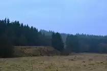 Blick auf den alten Bahndamm der Westerwaldquerbahn bei Fehl-Ritzhausen.

Fehl-Ritzhausen 17.12.2016