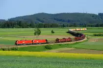 Eine Variation des Motivs ein paar Meter weiter und mit mehr Tele. VG 73145 wies am 28. Mai 2015 eine ordentliche Länge auf. Der von 2016.021 und 003 beförderte Zug ist rein auf den Transport von Holzprodukten ausgelegt. Mit den ersten Waggons wurde Holz als Rohmaterial zum Sägewerk Stora Enso bei Brand angeliefert. Sie gehen leer wieder zurück nach Tschechien. Die Schiebewandwagen sind mit Holzplatten beladen, die Sgns mit Innofreight-Containern mit Hackschnitzeln, welche in die Steiermark zu dort ansässigen Papierfabriken gehen.