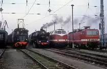  244 103  Wismar  07.04.91
