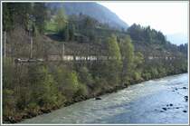 F�r die RhB ein sehr langer G�terzug windet sich entlang des Vorderrheins durch die Fr�hlingslandschaft nach Ilanz. (17.04.2007)