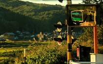 Triebzug  Accum  mit Energiebezug aus Energiespeicher: Unterwegs an der kleinen Haltestelle Taki, 15.Oktober 2016.  