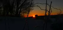 Also wenn mich jemand nach der schönsten Jahreszeit fragt kann ich nur Antworten : DER WINTER 
Wunderbare Eisskulpturen zaubert die Natur auf Pflanzen und alles andere. 

Der Morgen des 21.01.2017 