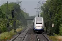 Ungewohnt -

... die grünen Bäume jetzt, da wir draußen Winter haben. Aber auch der TGV auf der Remsbahn ist noch gewöhnungsbedürftig.

Kernen-Rommelshausen, 25.05.2015 (J)