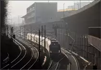 Im Gegenlicht -

Eine S-Bahn der Baureihe 430 der Linie S2 Fahrtrichtung Schorndorf auf der viergleisigen Bahnstrecke zwischen Stuttgart Hbf und Stuttgart-Bad Cannstatt. Die Strecke verläuft parallel zum Stuttgarter Schlossgarten. Nach Fertigstellung von Stuttgart 21 wird die Trasse zum Großteil der Parkerweiterung dienen.

Die vier Gleise werden im Linienbetrieb betrieben. Links die zwei Gleise für Fern- und Regionalverkehr, rechts die beiden Gleise für die S-Bahn, auf denen aber ebenfalls Züge des Regionalverkehres fahren.

27.01.2017 (M)