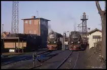 Blick in das Schmalspur BW in Wernigerode am 17.3.1990: Unter Dampf warten links 997234 und daneben 997241 auf ihre nächsten Einsätze.