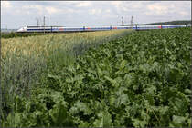 Silber/Blauer Zug hinter grünen Feldern -

TGV zwischen dem Enztalviadukt und dem Pulverdinger Tunnel auf der Schnellfahrstrecke Mannheim - Stuttgart. 

23.06.2011 (M)