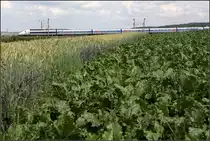 Silber/Blauer Zug hinter grünen Feldern -

TGV zwischen dem Enztalviadukt und dem Pulverdinger Tunnel auf der Schnellfahrstrecke Mannheim - Stuttgart. 

23.06.2011 (M)