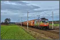 185 602-0 der HSL Logistik am 25.02.2017 bei Rodleben.