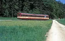 VT 41  bei Neufra  31.05.94