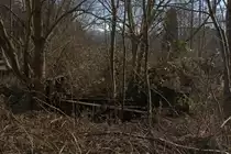 Hier fahren seit 1969 keine Züge mehr, die Natur erobert sogar die Brücke über das
Dreißiger Wasser. Stillgelegte Strecke Döbeln Lommatsch. 04.03.2017 11:59 Uhr.