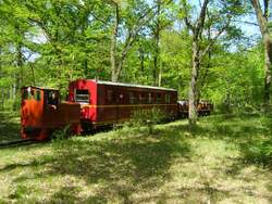 Ein zug der Berliner Parkeisenbahn am 6.5.2007 gegen den fr�hen Nachmittag kurz vor der Staion Badesee