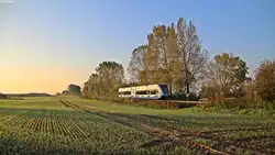 Der 646 110-6 der UBB befuhr am 16.10.17 die Stillegungsbedrohte Strecke Barth-Velgast(-Stralsund), hier am Kenzer Berg als RB29468 auf dem Weg nach Barth wo am Abend die Mahnwache der Bürger in