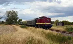 Am Nachmittag des 25.08.18 brachte 202 466 der SKL Umschlagservice ihren Sonderzug von Wörlitz zurück nach Klostermansfeld.