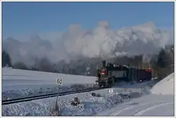 431.032 (ex ÖBB 93.1360) am 11.1.2019 mit ihrem Pn 59237 von Benešov u Prahy nach Kolín kurz vor der Haltestelle Stříbrná Skalice aufgenommen.