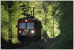 Die Gleichenberger Bahn wird offiziell auch als Dschungelexpress bezeichnet.