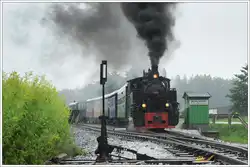 764-411R der Stainzer Bahn mit dem Stainzer Flascherlzug am 28.7.2019 kurz nach der Ausfahrt aus Preding Richtung Stainz in Wohlsdorf aufgenommen.