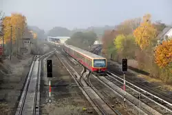 S-Bahn Berlin 481 xxx // Berlin-Kaulsdorf (Im Hintergrund sieht man die Station Berlin Wuhletal) // 12.