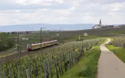 DB Regio 430 xxx + 430 xxx +430 xxx // Hochheim (Main) // 15.