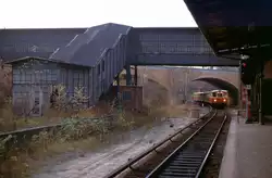 Der 