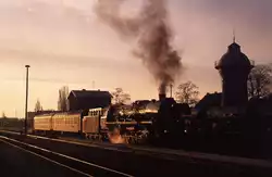 Die einzige 