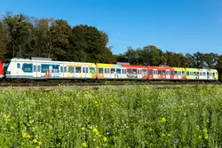 423 683 ist zur Zeit bunt bemalt um 50 jähre S Bahn München zu zelebrieren.