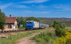 64 1019 mit dem IRN 1641 (Bucuresti Nord - Satu Mare) am Haltepunkt Ciocmani 25.8.24