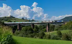 264 003 mit dem DGZ xxxxx (Lauchringen - Hintschingen) auf dem Fützener Talübergang 28.8.24